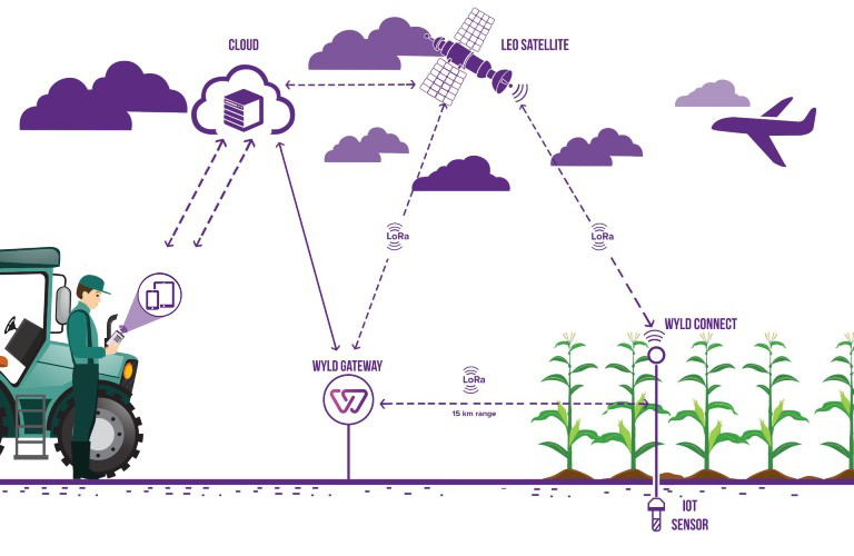 Solution Ilustration